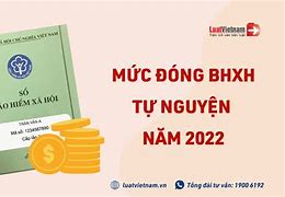 Bảo Hiểm Tự Nguyện 2022