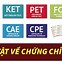 Cấp Độ Tiếng Anh Movers