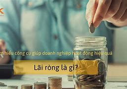 Lãi Ròng Tiếng Anh Là Gì