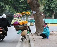 Mùa Đông Năm Nay Có Lạnh Hay Không