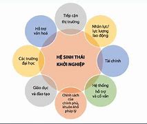 Tại Sao Chính Phủ Khuyến Khích Khởi Nghiệp