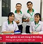 Xét Nghiệm Y Khoa Hi Lab Đà Nẵng